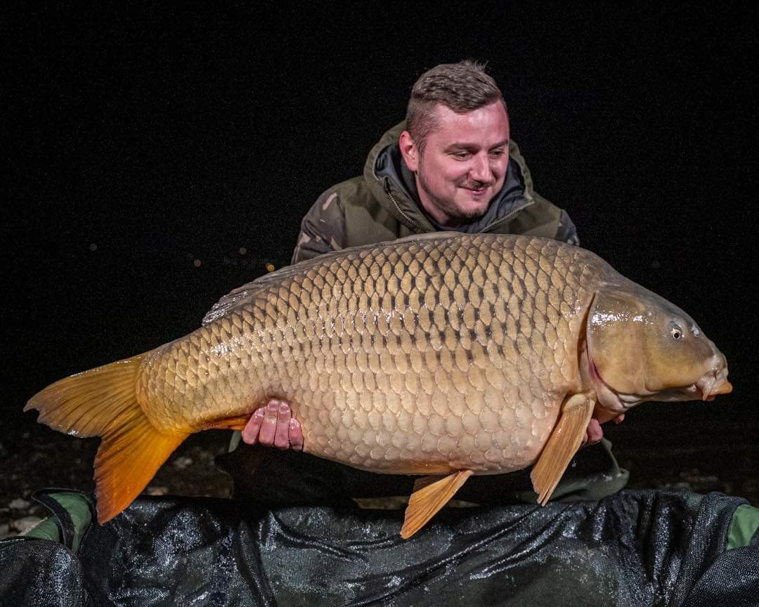 Predstavenie tímu Dr. Baits